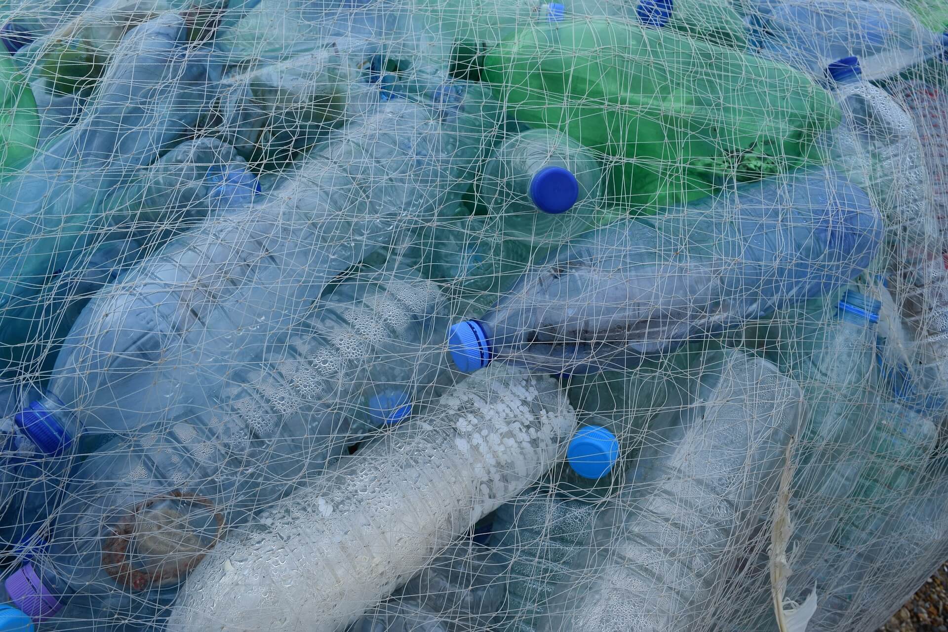 How to sort a plastic bottles